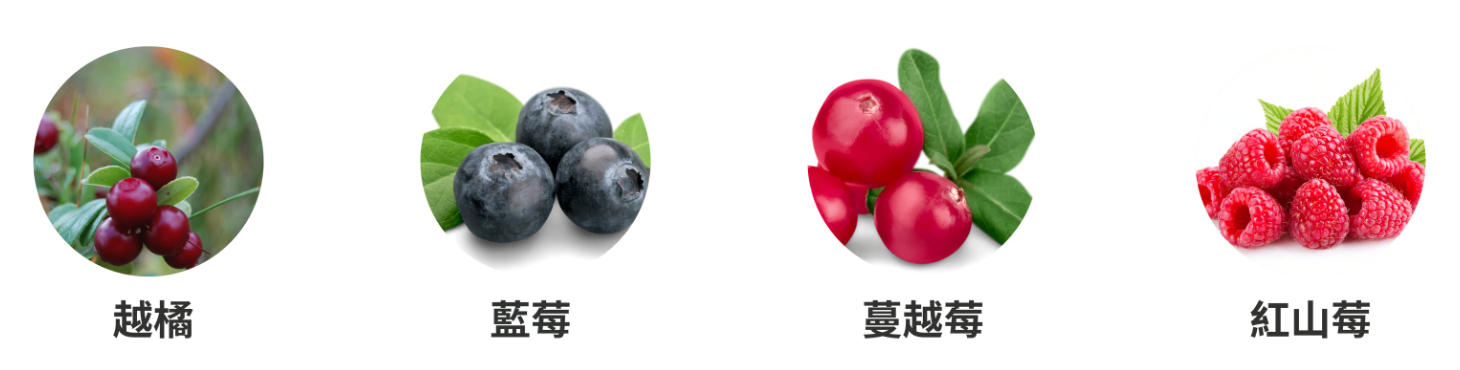 越橘、藍莓、蔓越莓與紅山莓