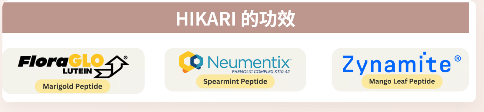 HIKARI 的功效:FloraGLO、Neumentix、Zynamite 三項專利植物原料